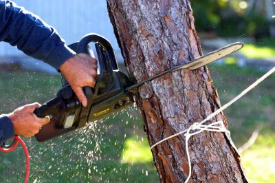 Contact About Tree Chipping Services