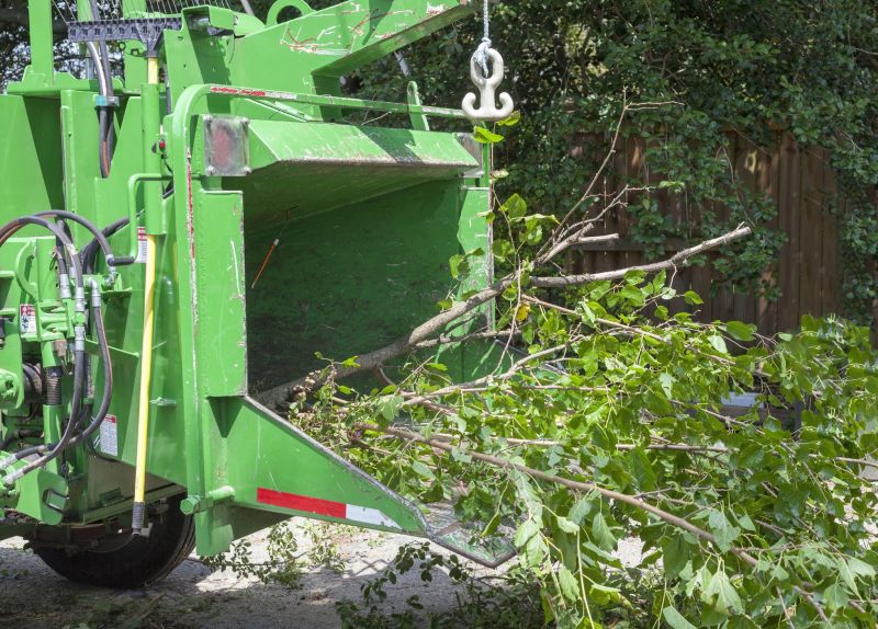 Tree Chipping Services