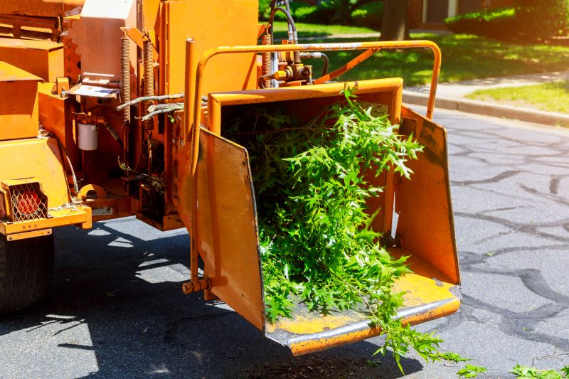 Tree Chipping Services