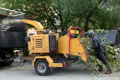 Tree Chipping - Tree Chipping Services Apopka, Florida